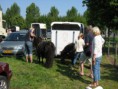 /album/menrit-04-06-2011/zeeuwse-menrit-juni-2011-008-jpg/